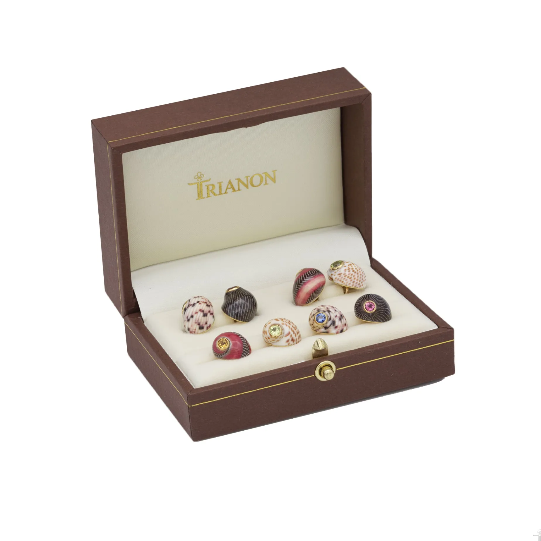 four_shell_cufflinks_amp__1.webp Four Shell Cufflinks & Studs